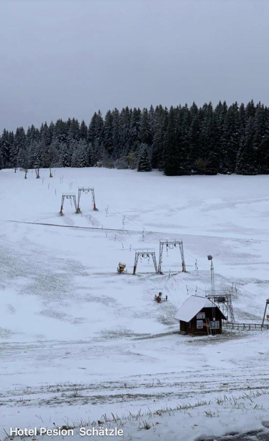Hotel-Pension Schaetzle Schonwald  Kültér fotó